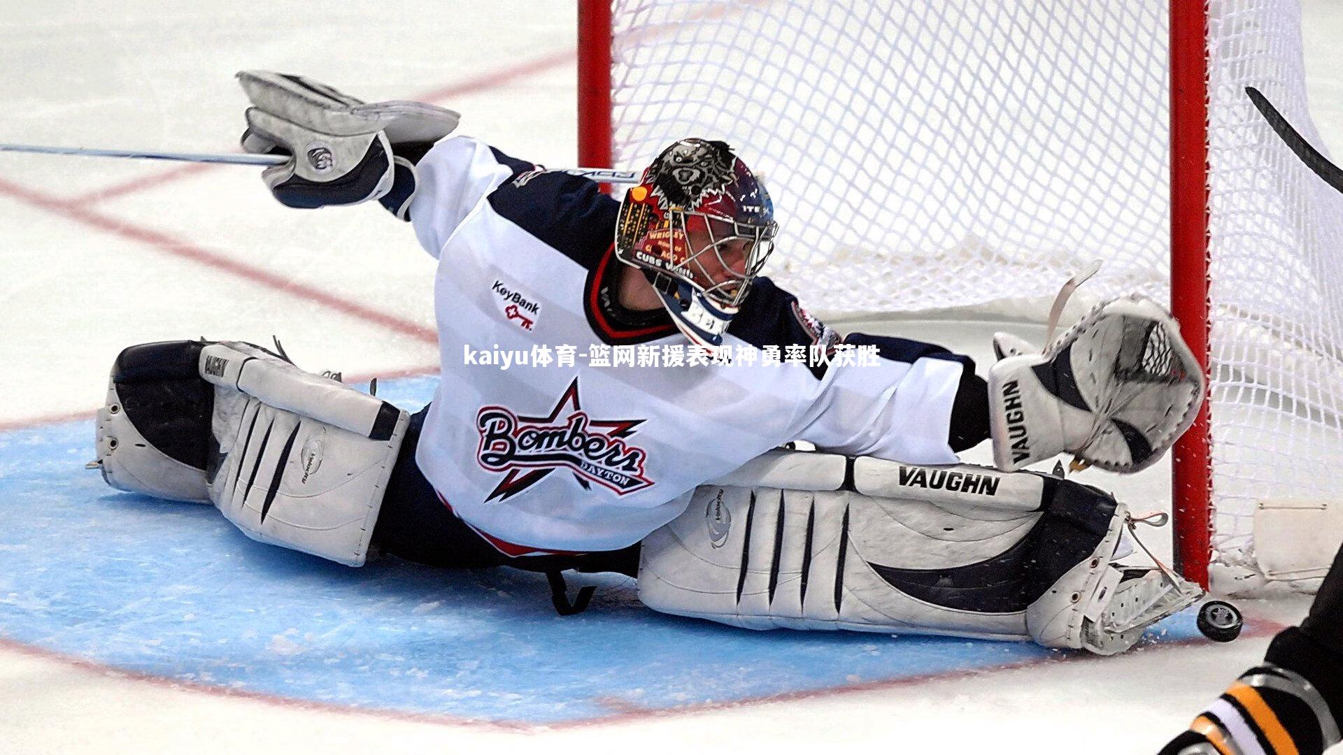 篮网新援表现神勇率队获胜