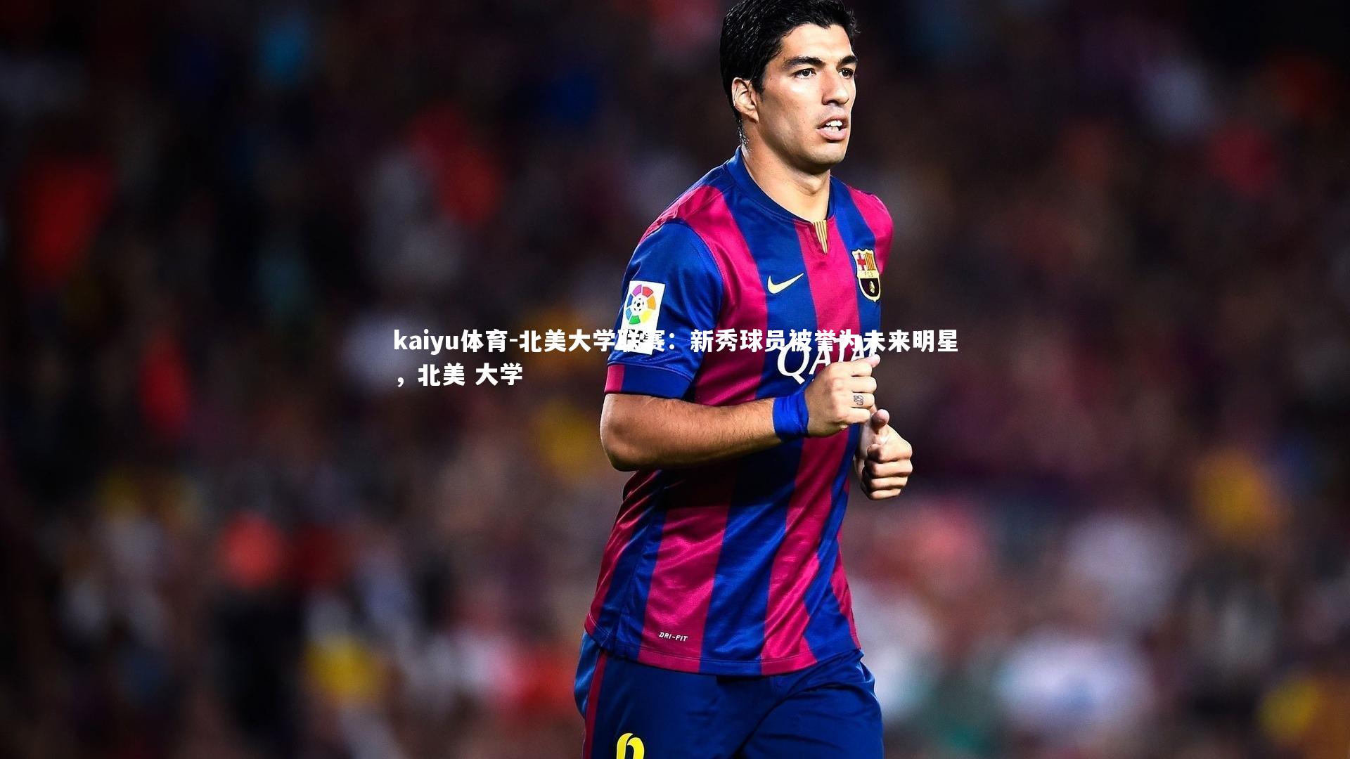 北美大学联赛:新秀球员被誉为未来明星,北美 大学