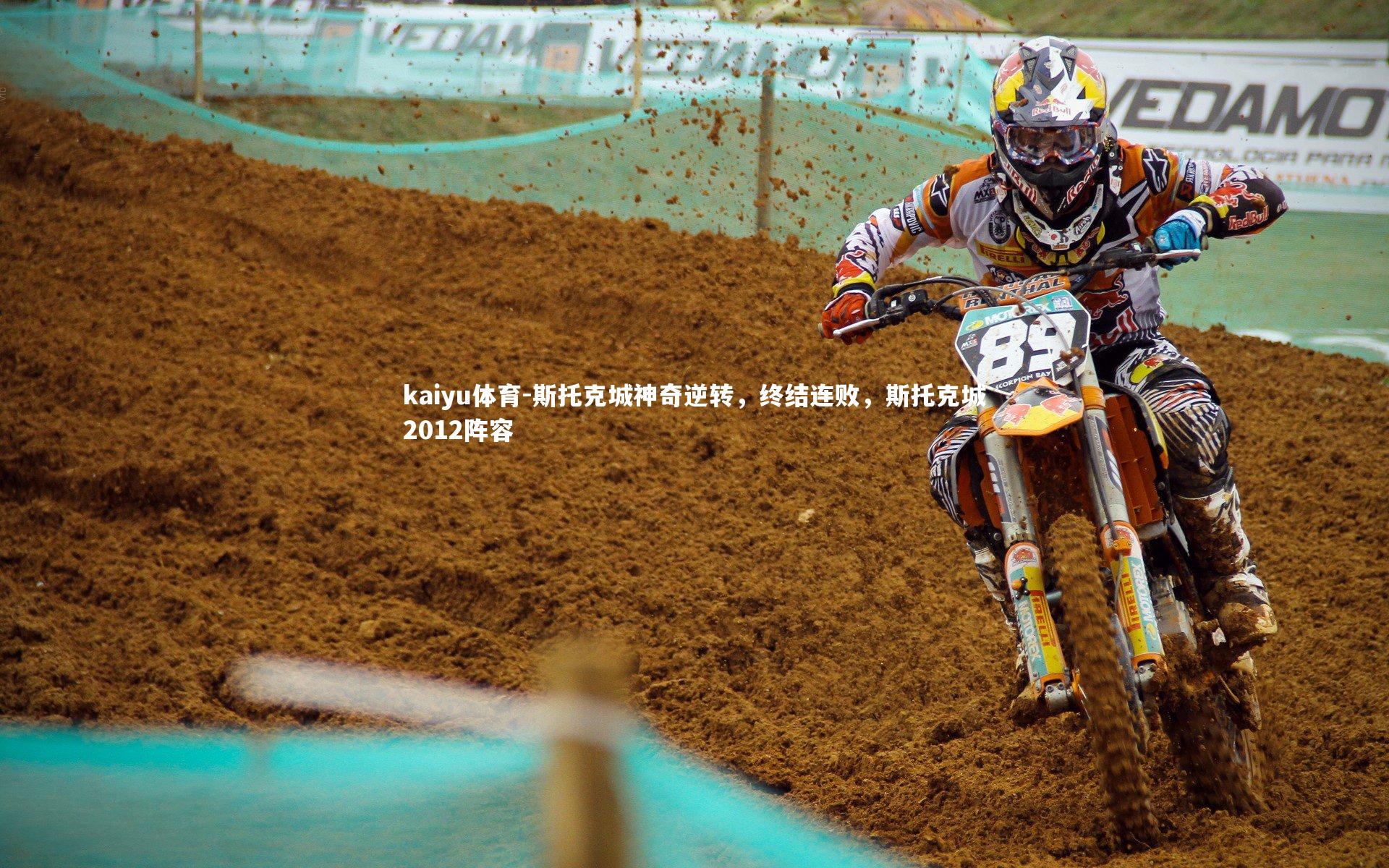 斯托克城神奇逆转，终结连败，斯托克城2012阵容